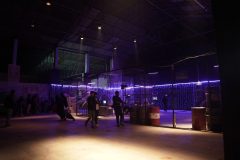 gallery-11-scaled